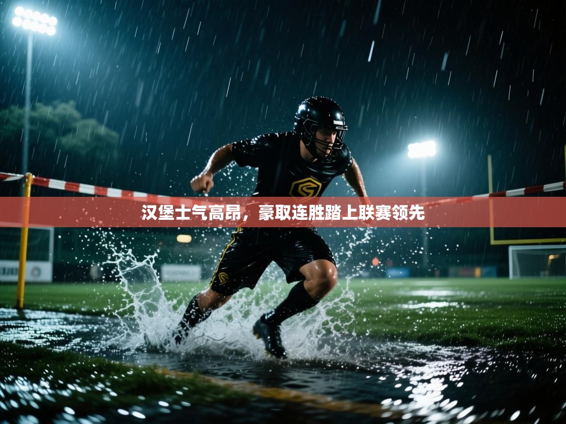 汉堡士气高昂，豪取连胜踏上联赛领先  第1张