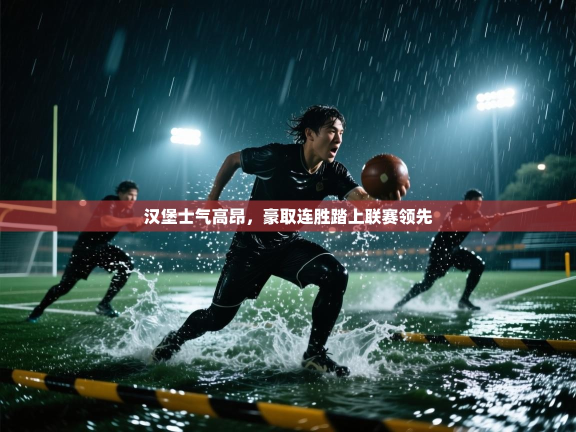 汉堡士气高昂，豪取连胜踏上联赛领先  第2张