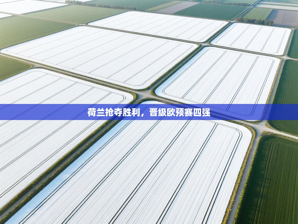 荷兰抢夺胜利，晋级欧预赛四强