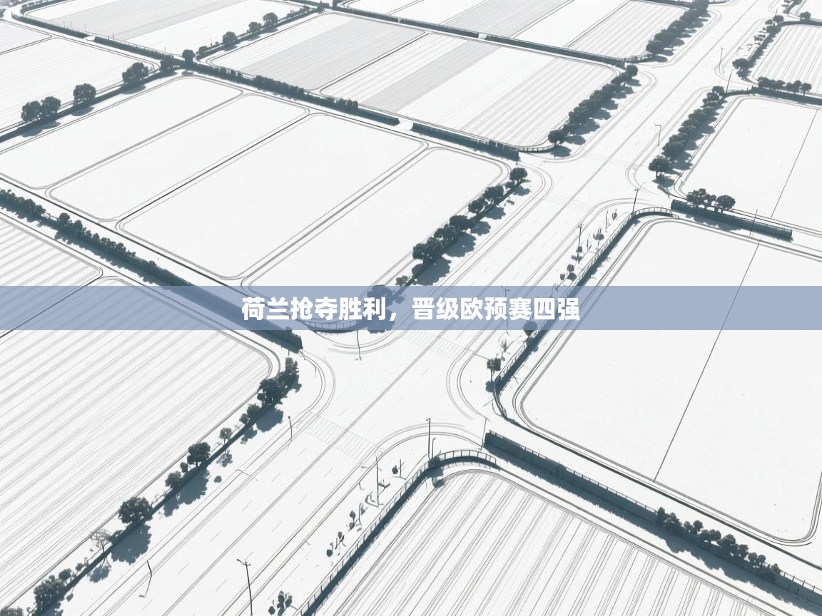 荷兰抢夺胜利，晋级欧预赛四强  第2张